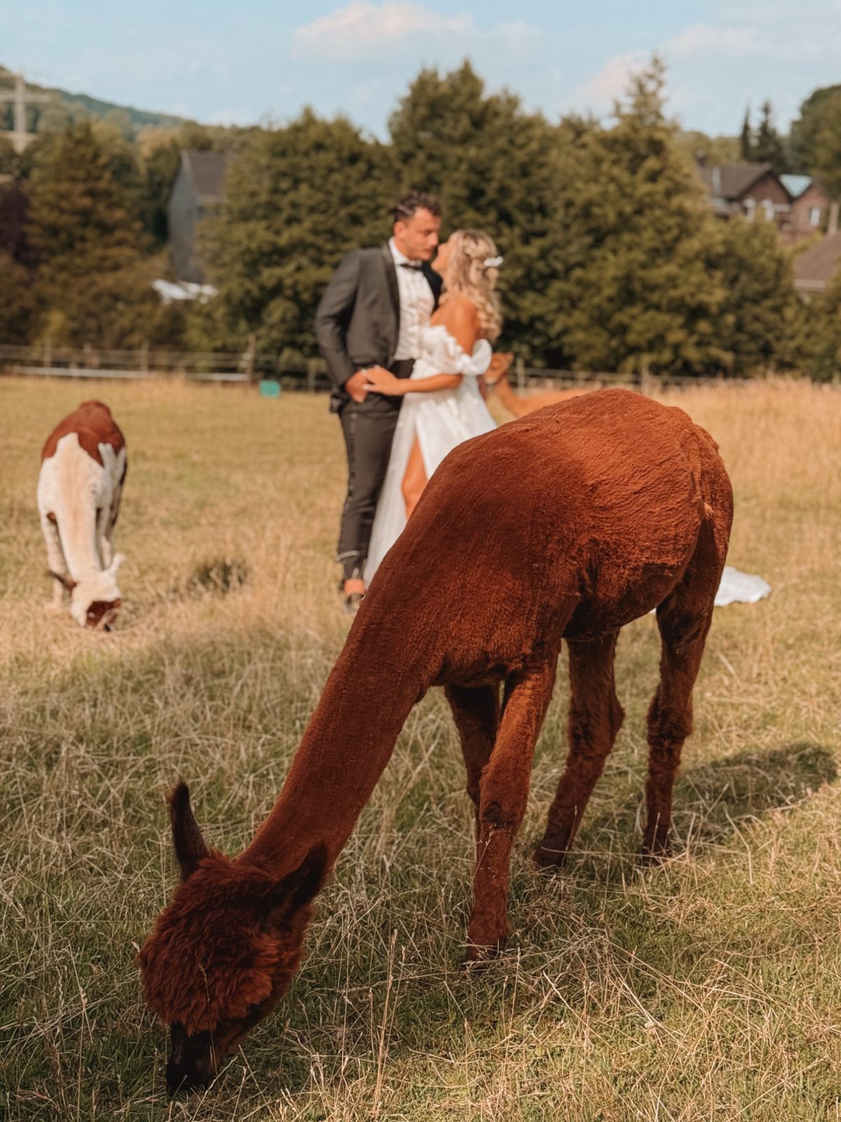 The Boho Nest – Exklusive Eventlocation in Hattingen | Nachhaltig ...